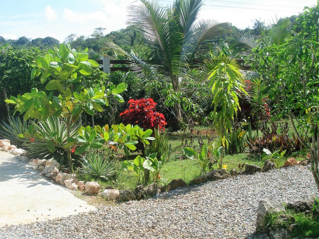 La Casa De Sergio Y Cristina ลาสแตร์เรนาส ภายนอก รูปภาพ