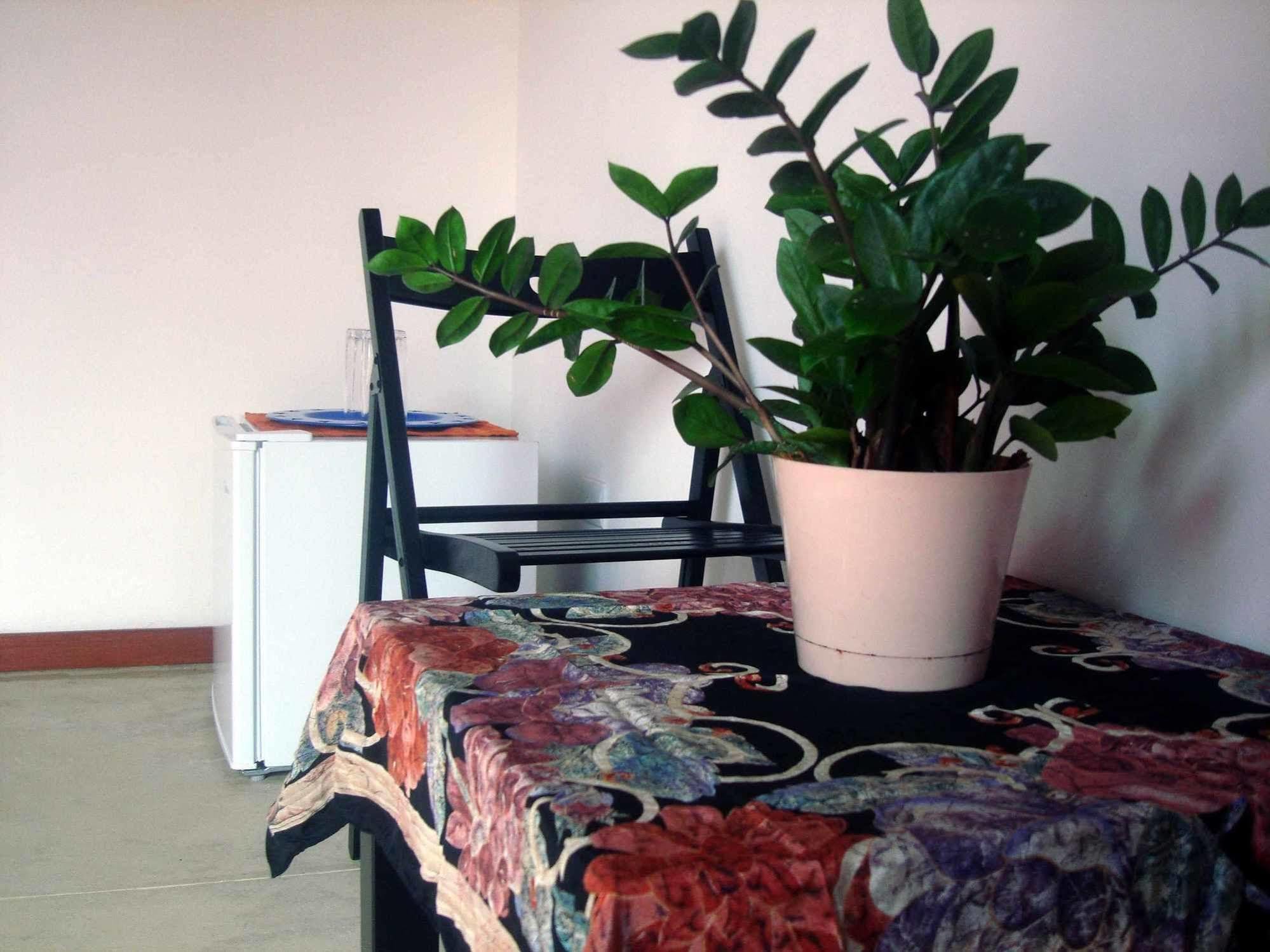La Casa De Sergio Y Cristina ลาสแตร์เรนาส ภายนอก รูปภาพ