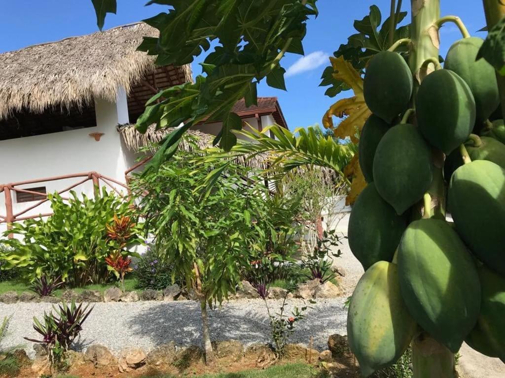 La Casa De Sergio Y Cristina ลาสแตร์เรนาส ภายนอก รูปภาพ
